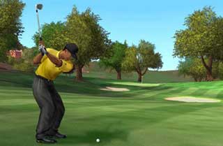 Tiger Woods PGA Tour 2005